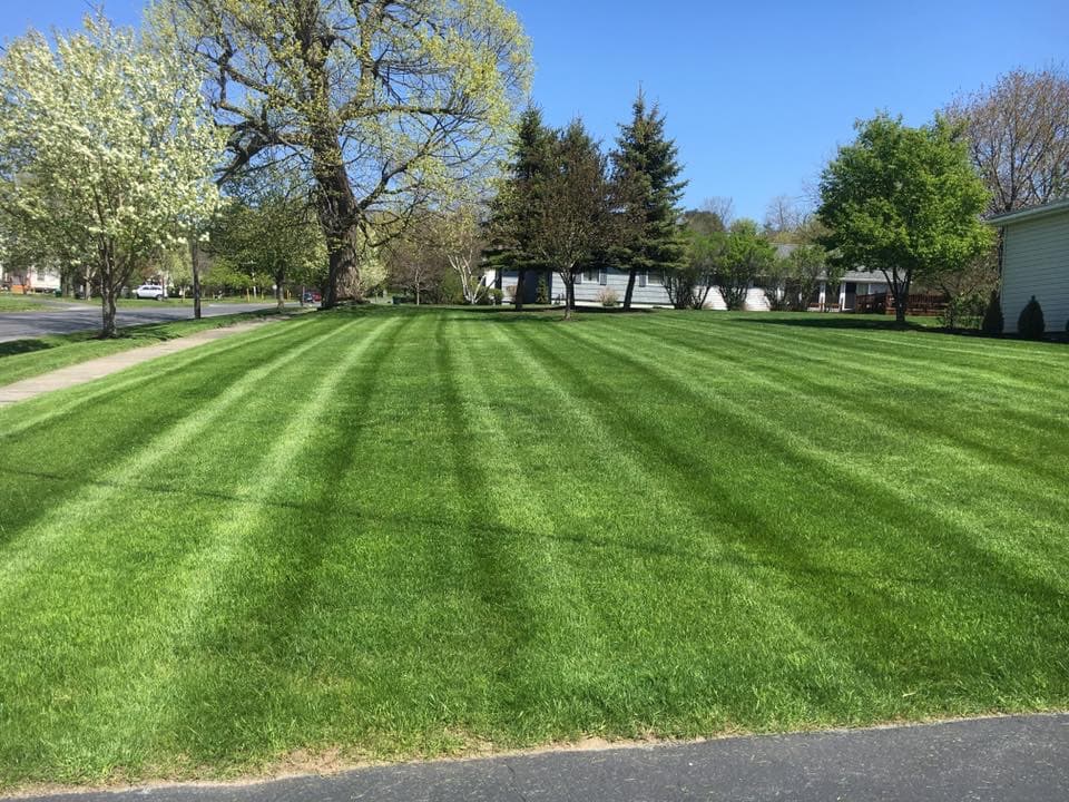 Freshly striped residential lawn maintained by Lakeside in Watertown NY