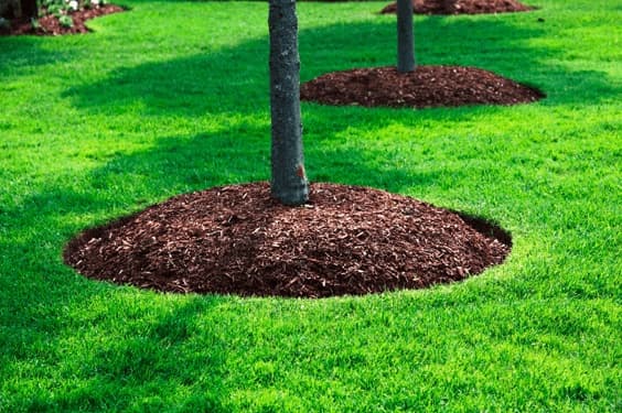 Fresh mulch beds and groundwork by Lakeside Outdoor Services in Northern NY